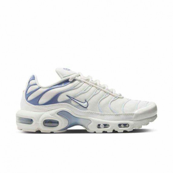 Nike Air Max Plus White Blue