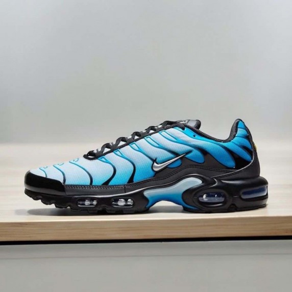 Nike Air Max Plus TN 'Blue Gradient’